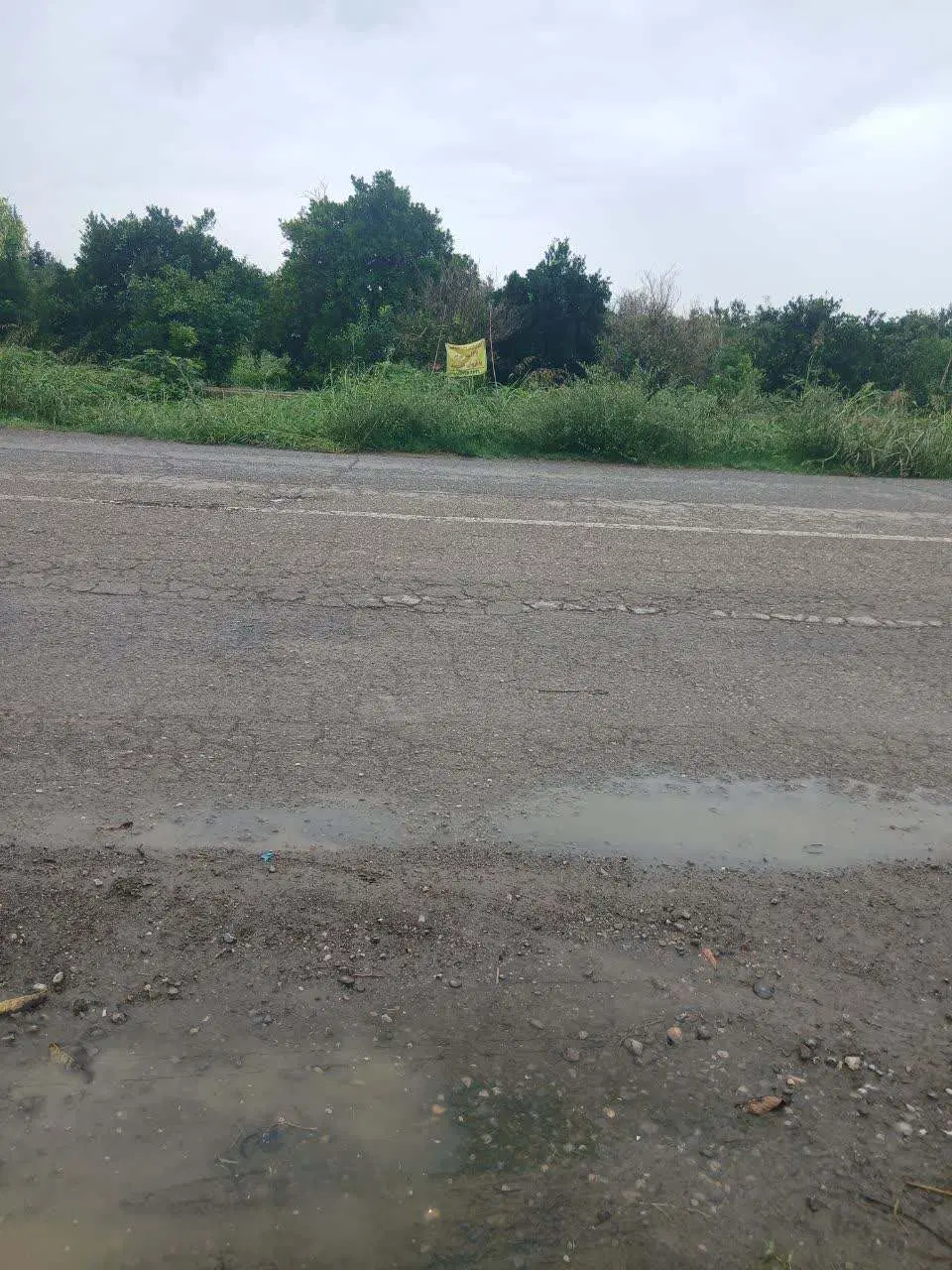 زمین مرکبات ۱۴۷متری _قائم شهر روستای کاوان آهنگر