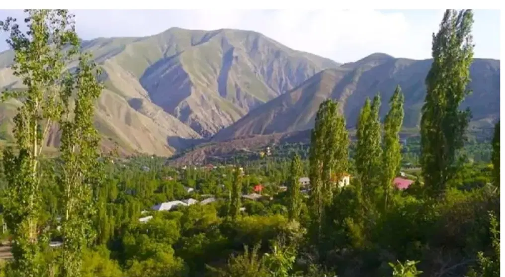 زمین امامه