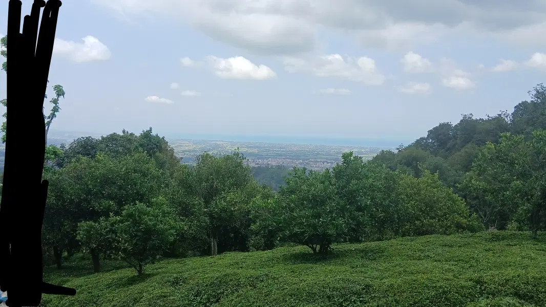 زمین