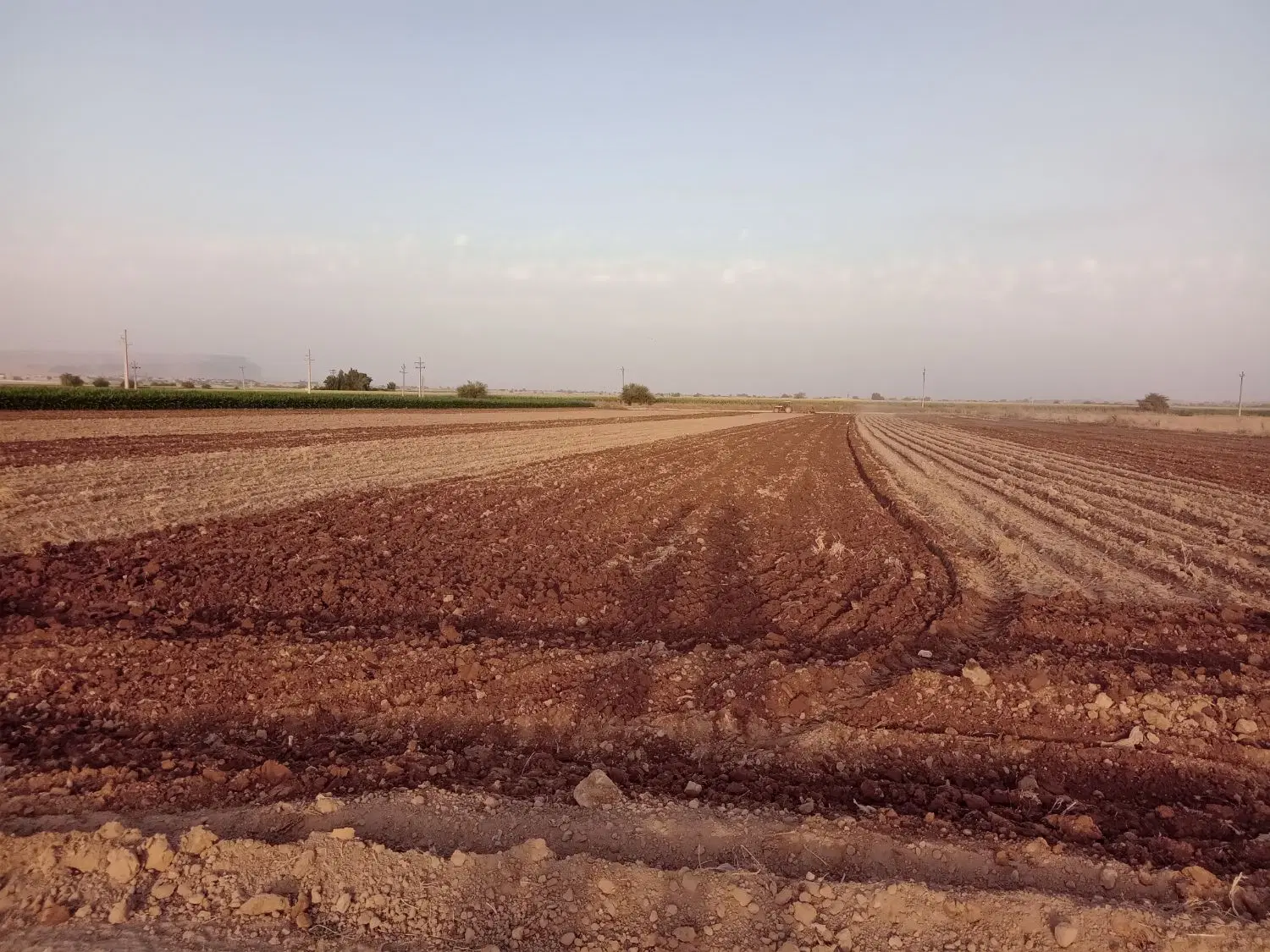 اجاره زمین کشاورزی