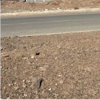 زمین جفتی
