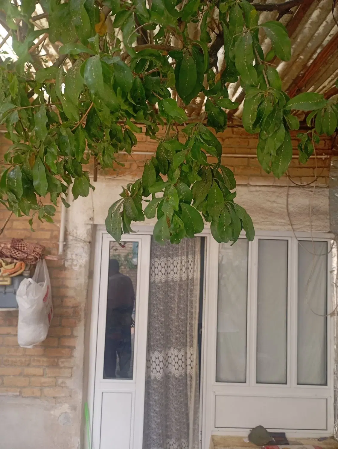 خانه ویلای فروشی چهارباغ
