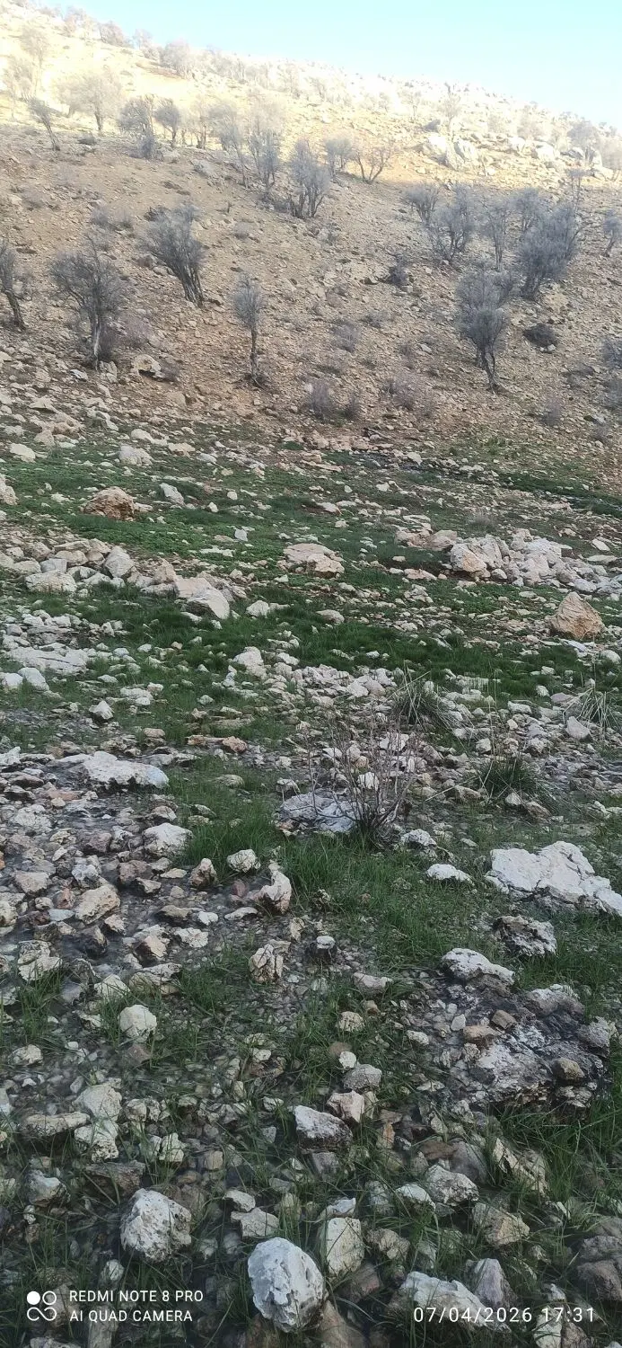 فروش زمین