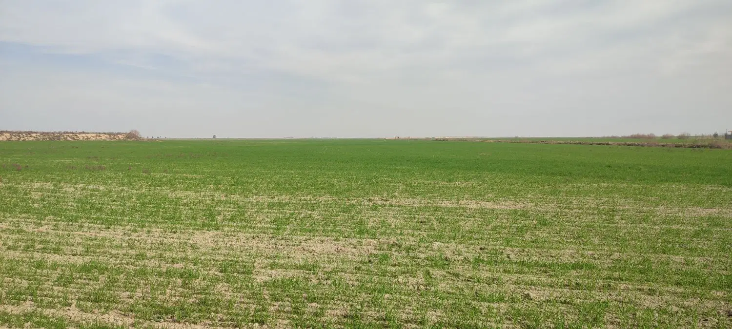 فروش زمین آبی