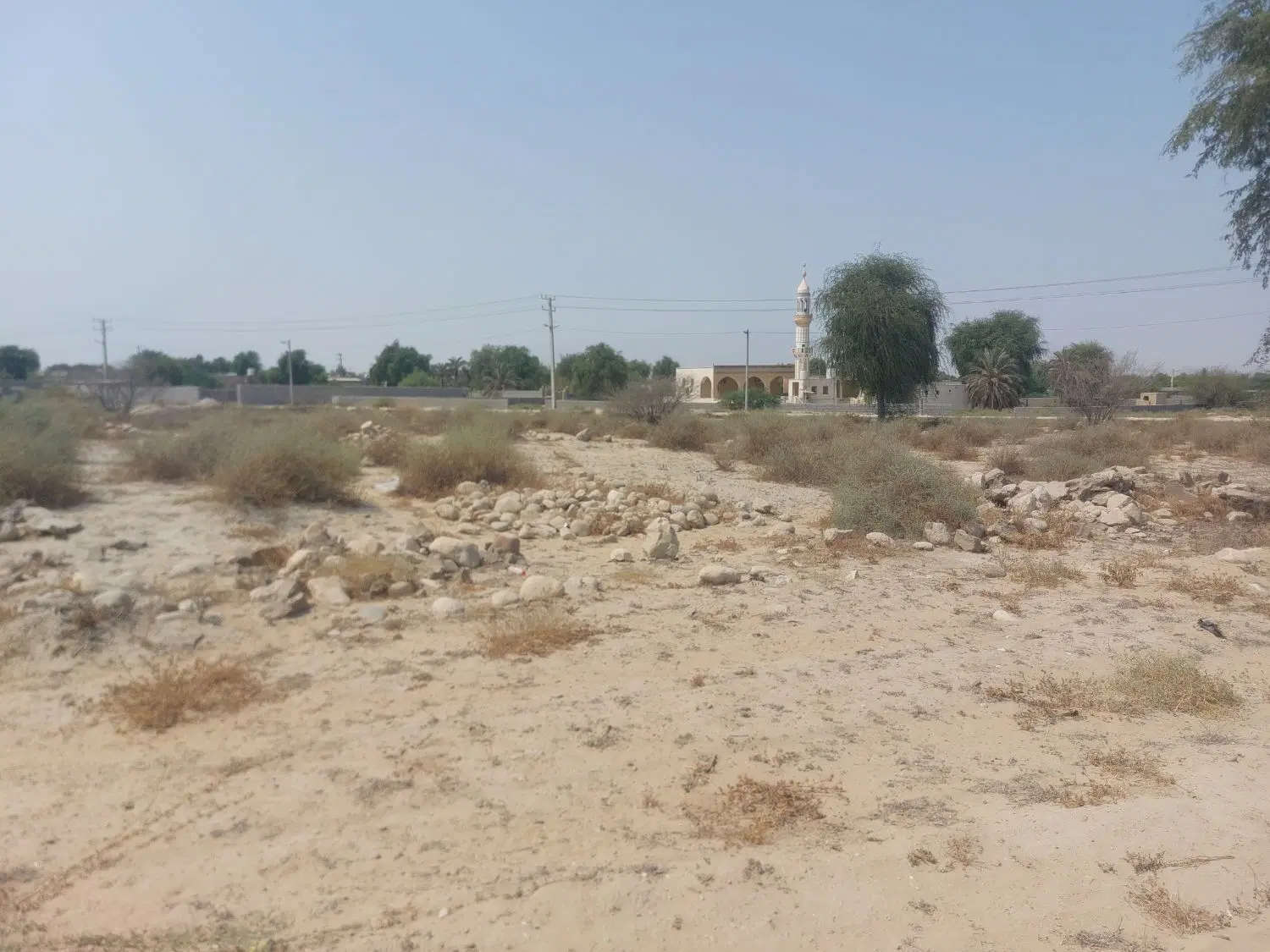 یک قطعه زمین ۵۰۰ متری روستای شهرو