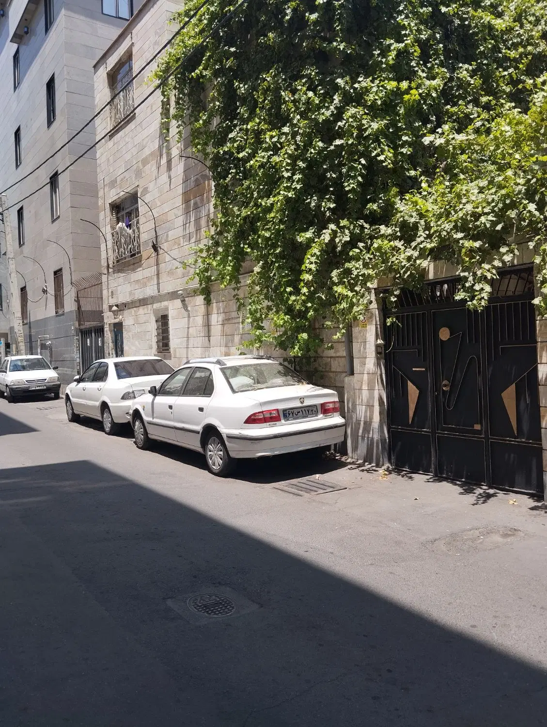 260 متر زمین کلنگی بر خیابان کمیل