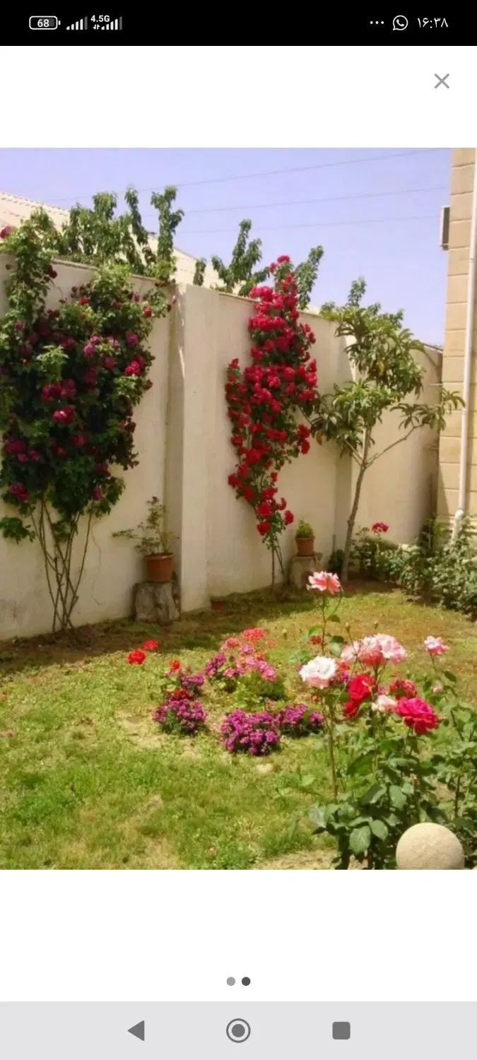 زمین کشاورزجنوبی سه بر 190متری