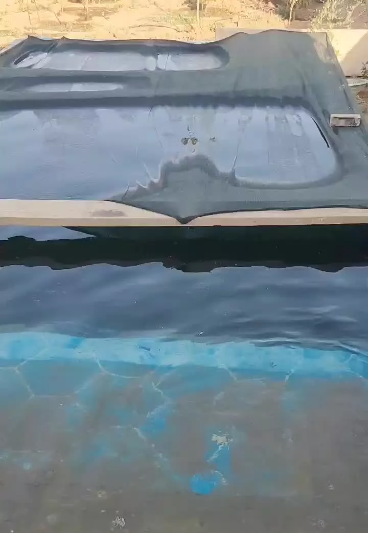 باغچه ۷۵۰ متری باسندتک برگ