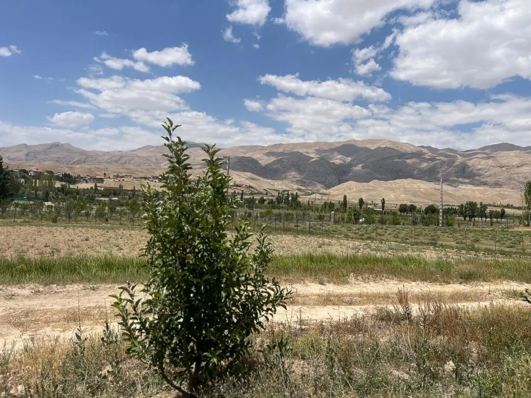 فروش باغ ۴ ساله