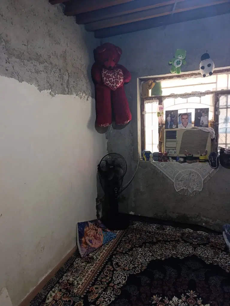 ملک فروشی