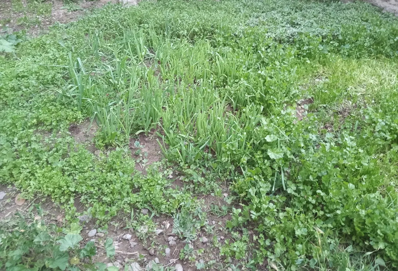 معاوضه زمین با زمین خانه و غیره