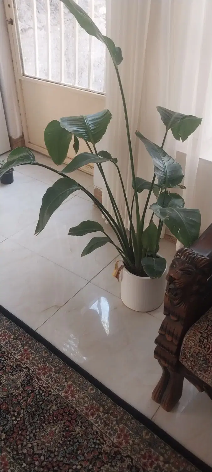 خانه به متراژ۱۷۵متر زمین.باساختمان ۱۱۵متری کامل