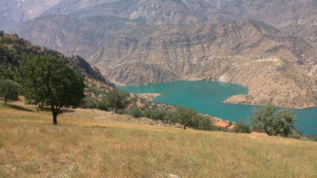 زمین