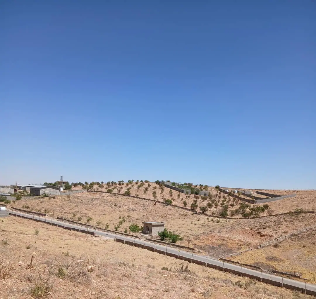 فروش دو قطعه باغ شهری