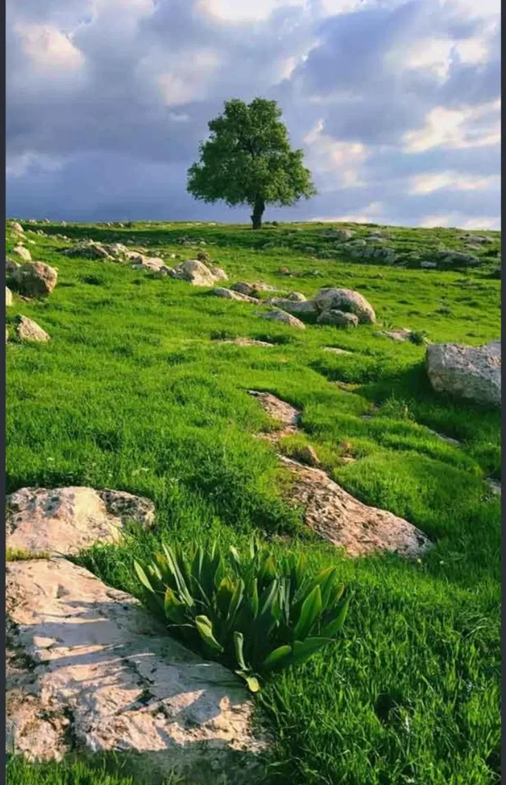 فروش شراکت سرمایه گذاری