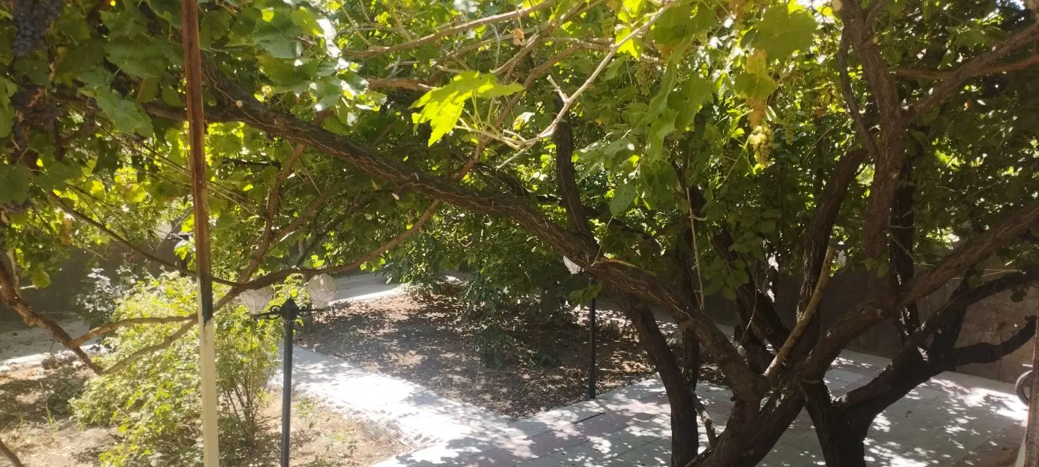 اجاره روزانه باغ ویلا