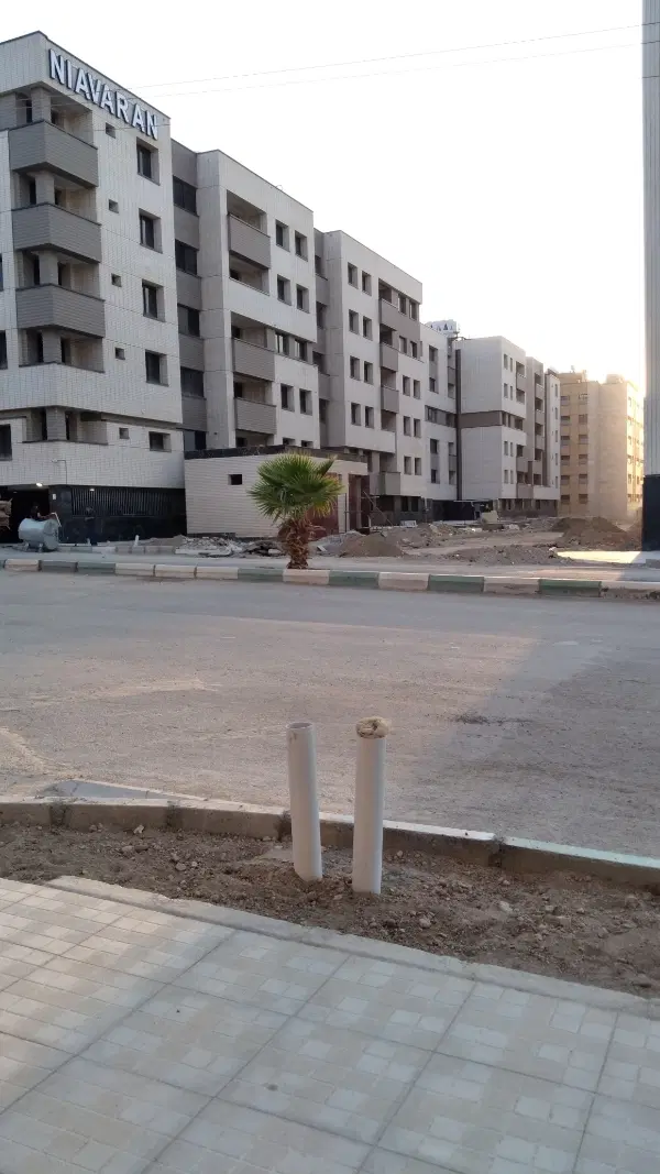 فاز دو گل‌نرگس