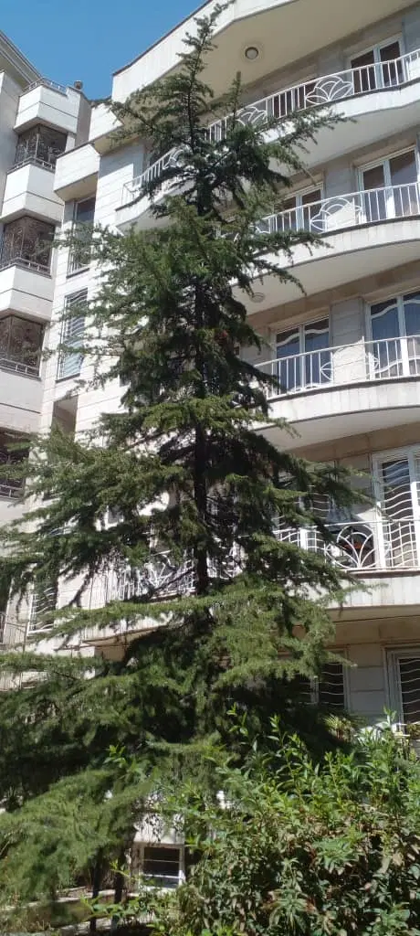 ۶۷ متر یک خوابه
