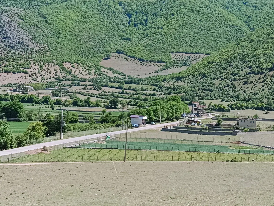 معاوضه زمین باغی تو شمال نوشهر با پاترول