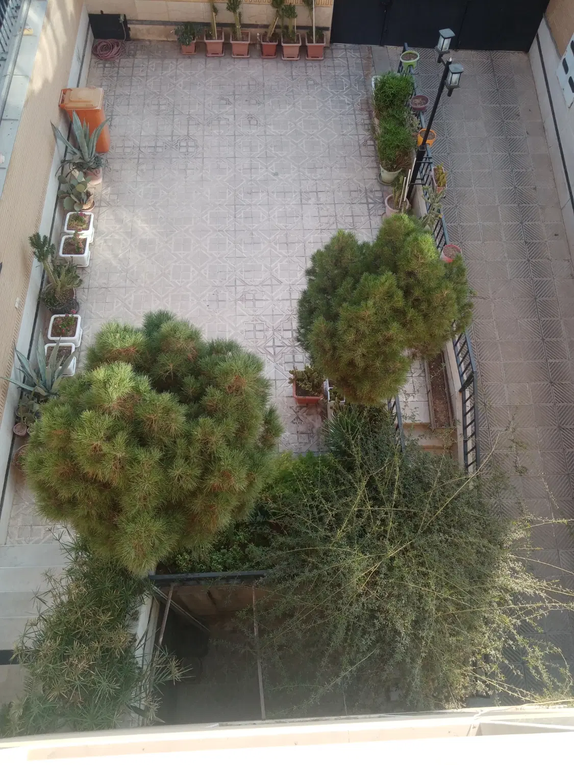 3 خواب دکتر حسابی  شیمی گیاه