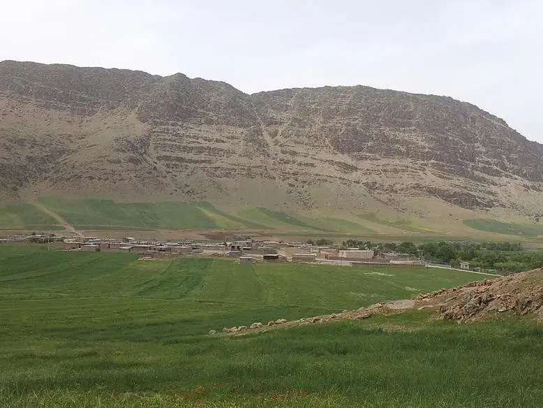 زمین کشاورزی