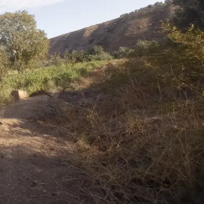 زمین