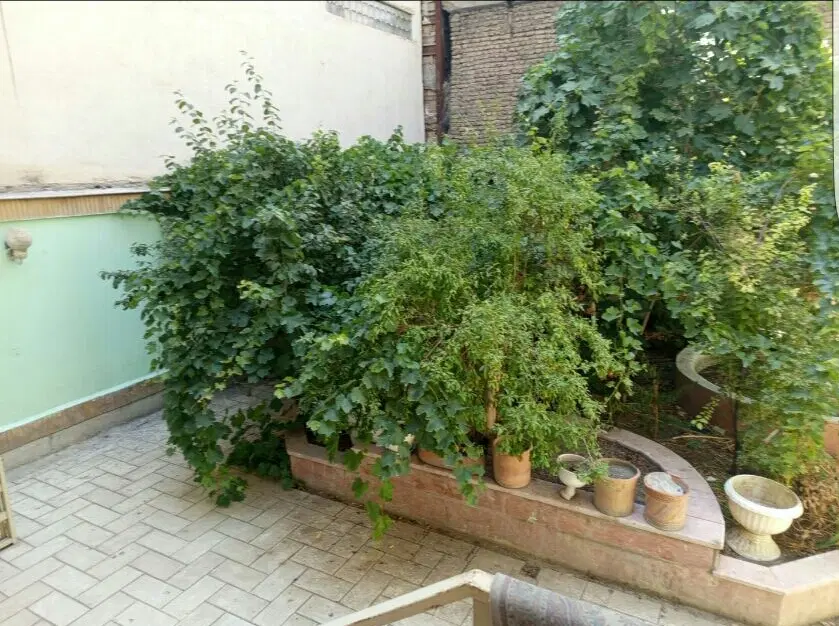 ملک کلنگی.۱۵۰۰ متر.