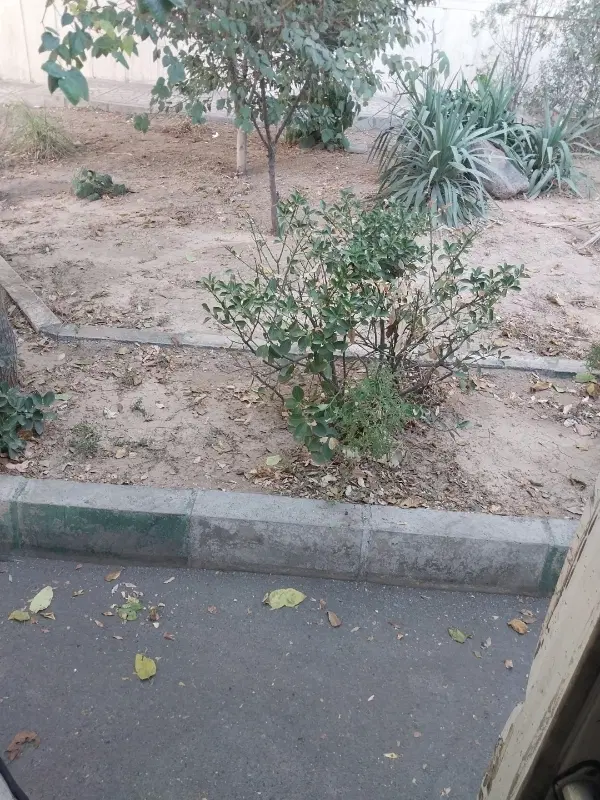 زمین عرب آباد