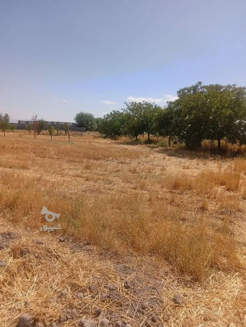 فروش قطعات زمین ۲۰۰ متری روستای وهب