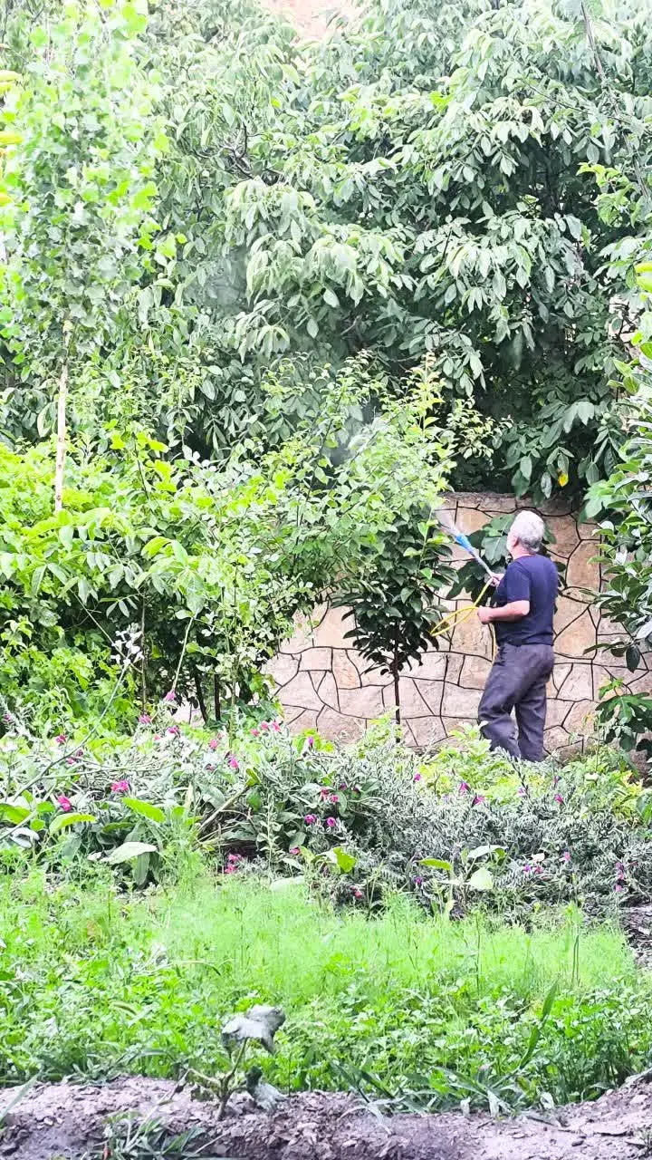 باغ سرسبز وکوهستانی  واستخر بزرگ