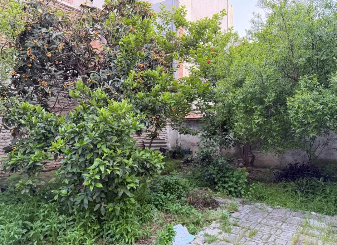 فروش خانه ویلایی ۳۱۲ متری شهرک مولوی   متن آ
