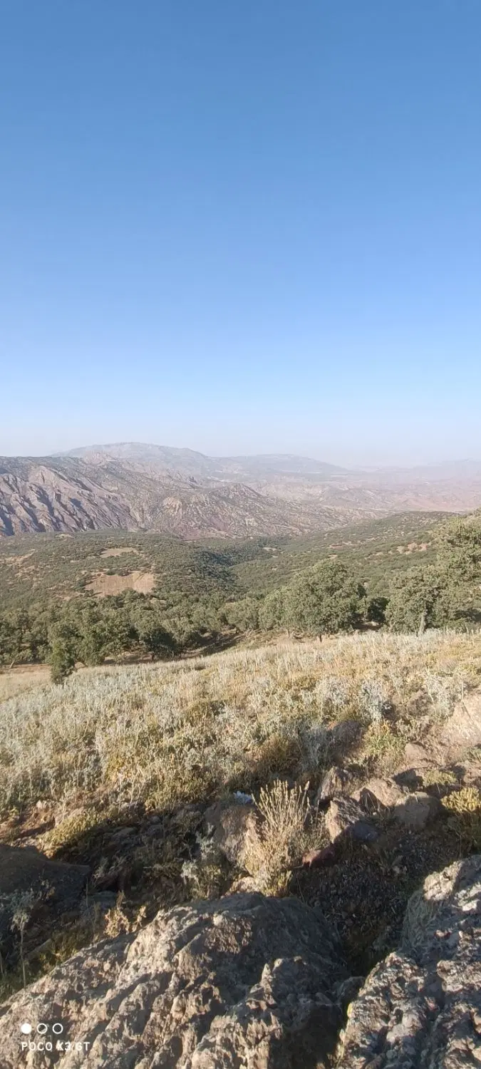 زمین مشاع مجاور به فاز ۳
