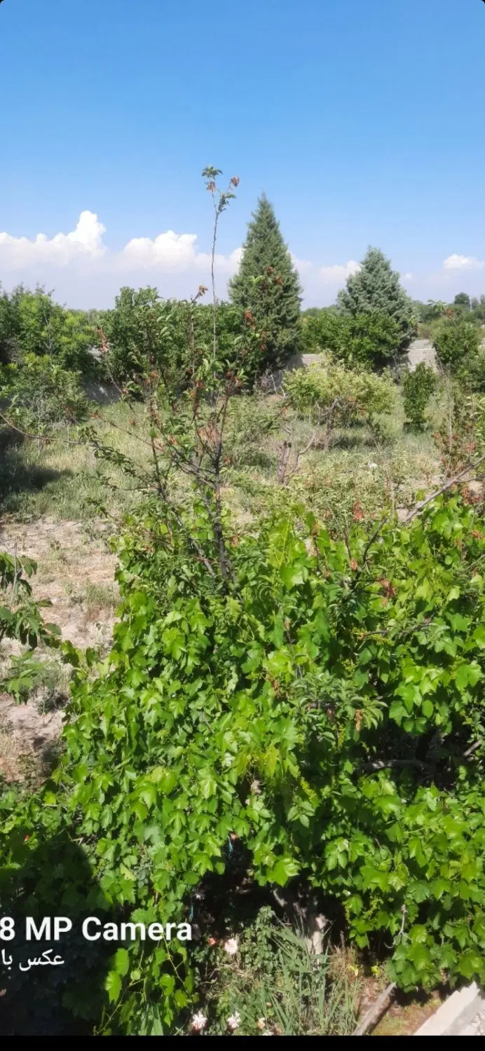 ۲هزار متر ویلا آب برق گاز کنتر