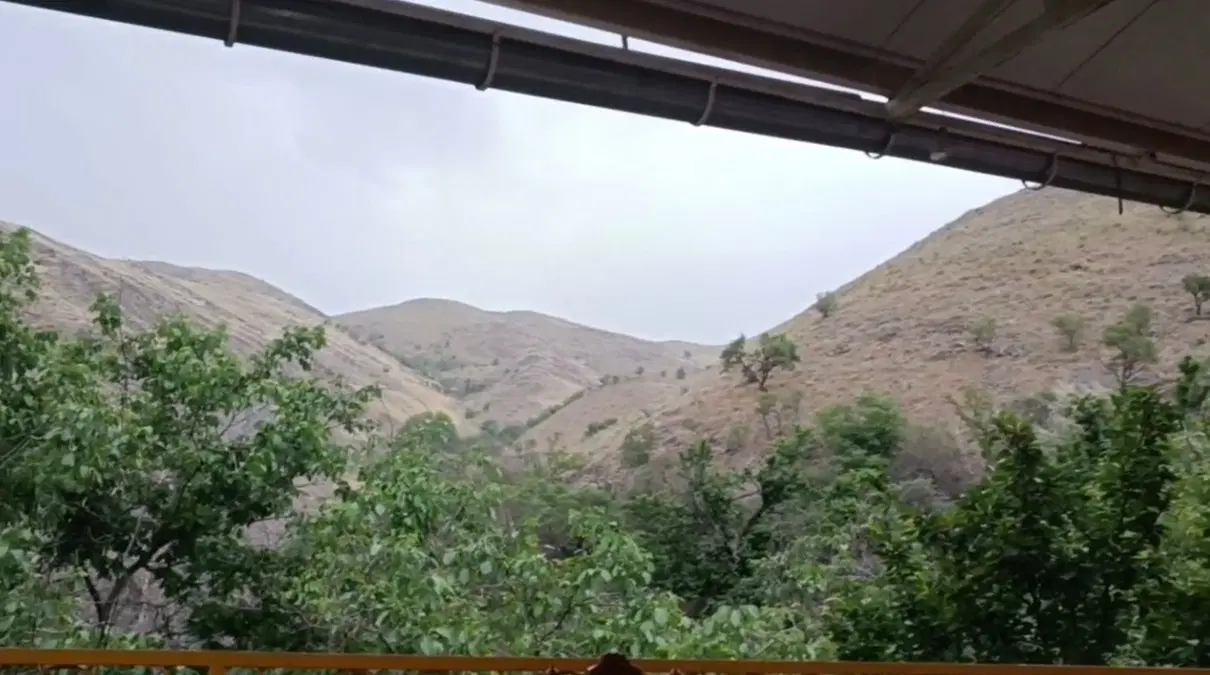 باغ ویلا کنگ
