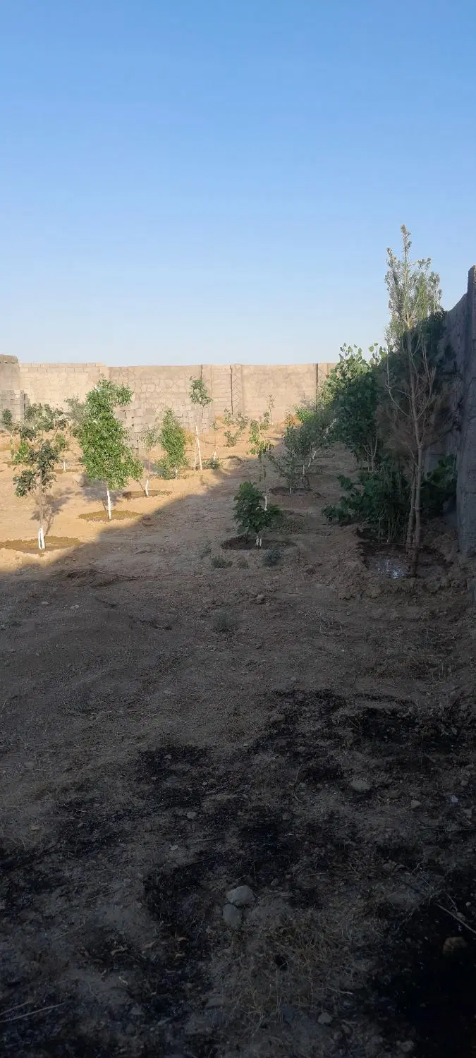 باغ زمین ویلایی در امینه ۸ شاندیز ۱۰