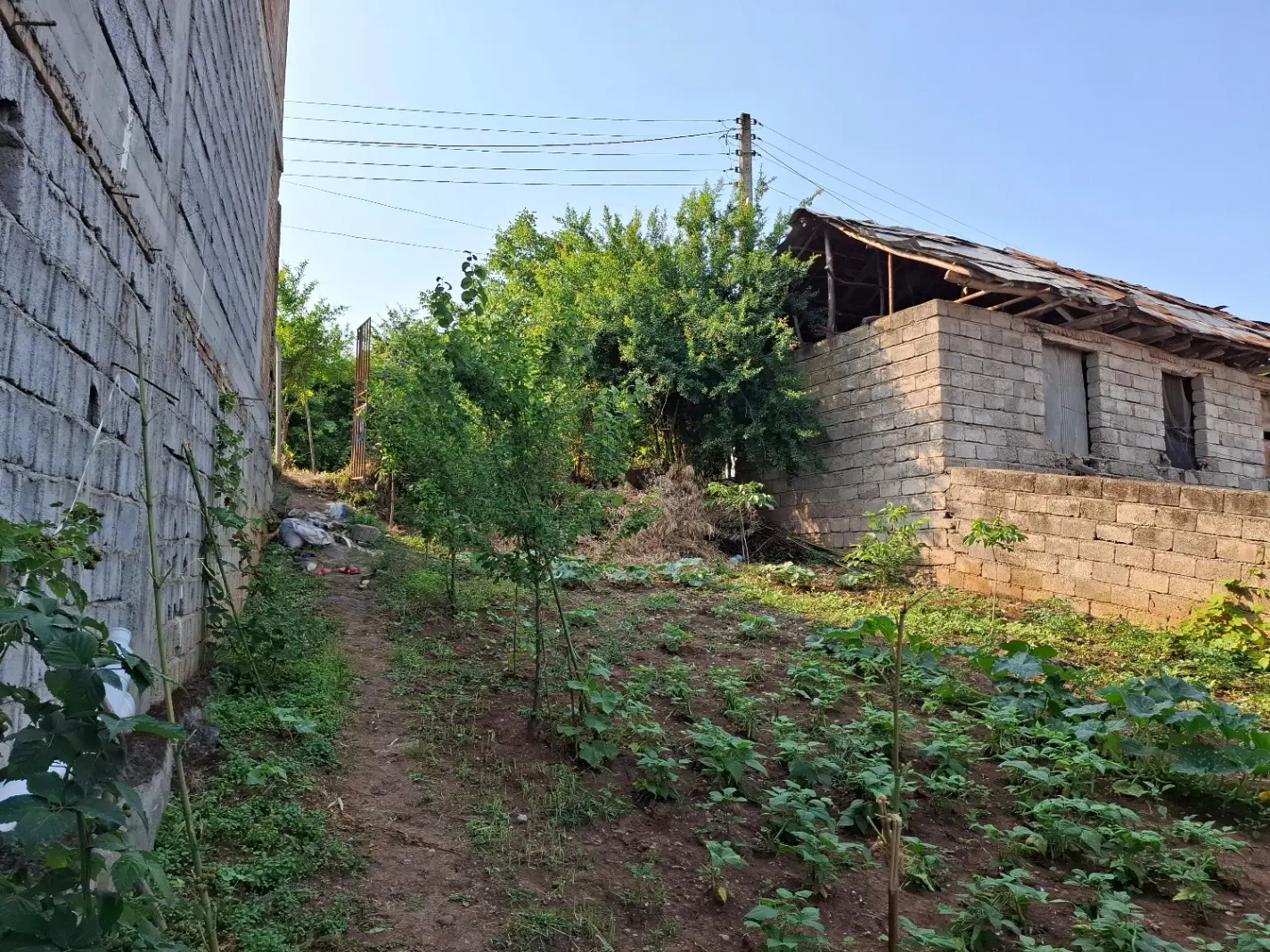 فروش زمین