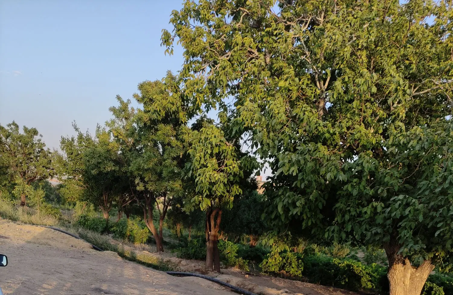 زمین فن آوران 2