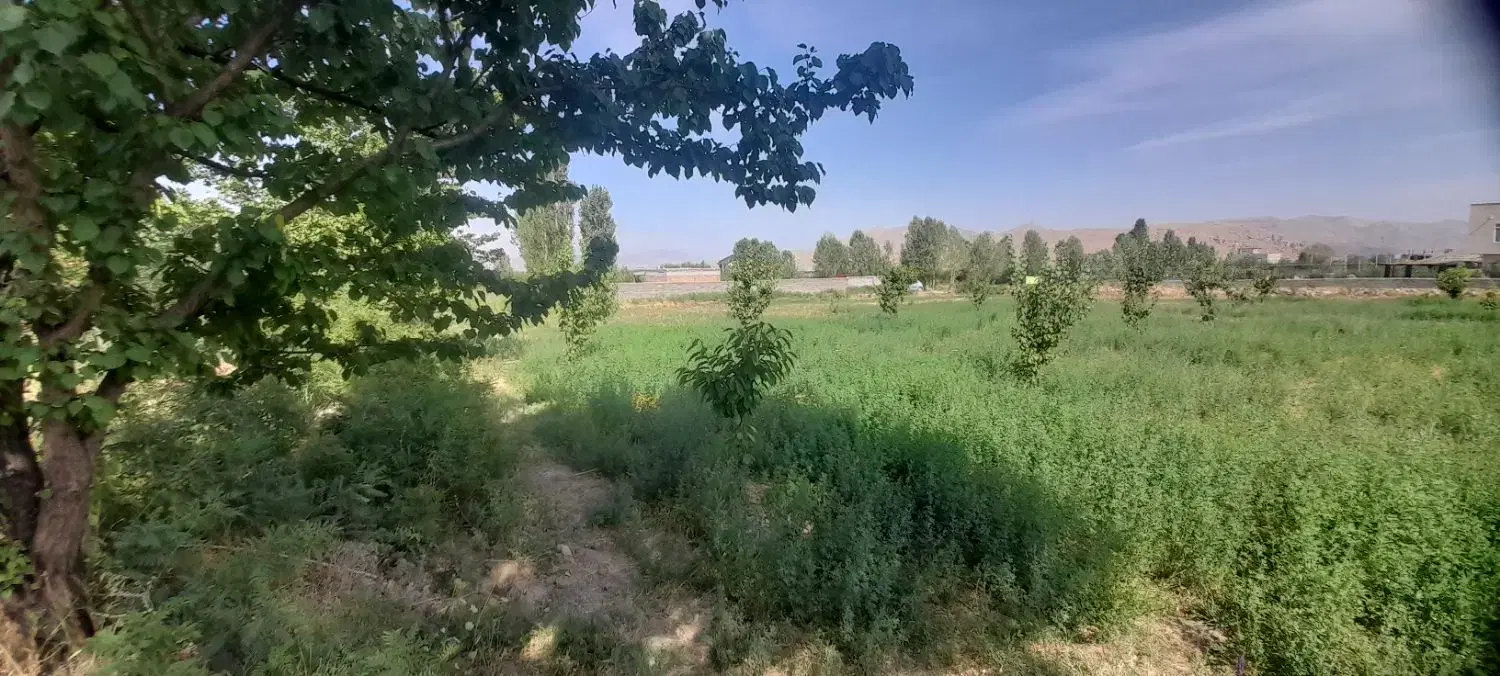 باغ در روستای توریستی کوسچ