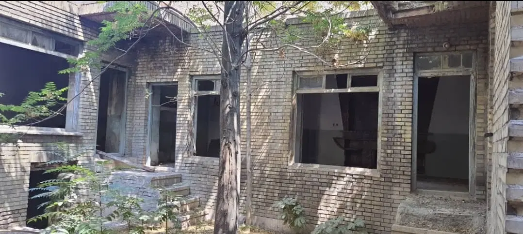ملک کلنگی در قلب بازار