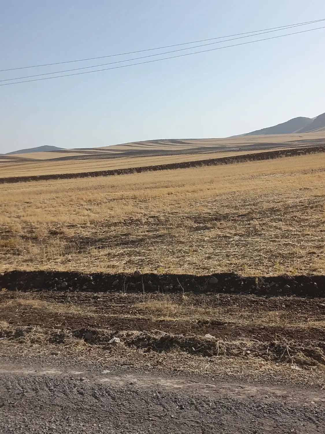 رهن  زمین  کشاورز