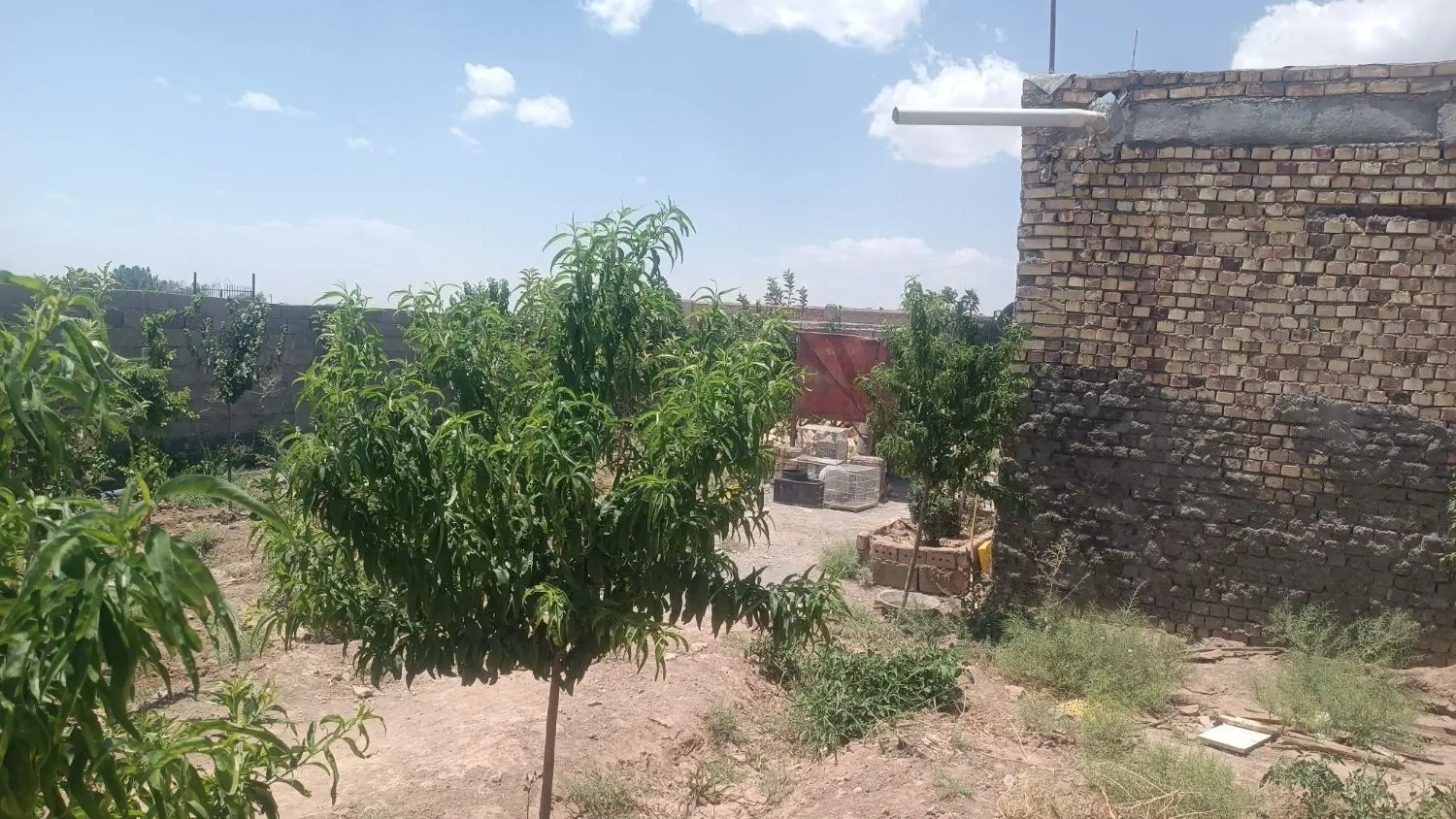 باغ ۱۲۰۰متر حاشیه محموداباد فضل