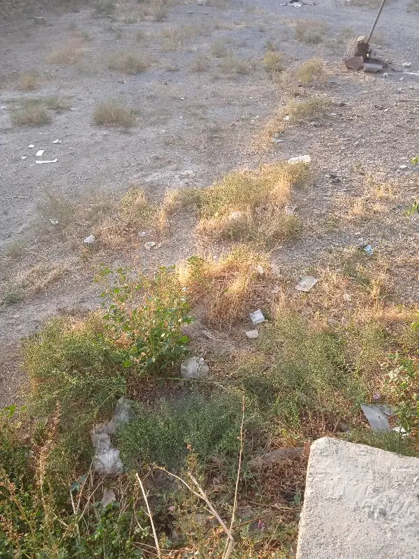 زمین فروشی