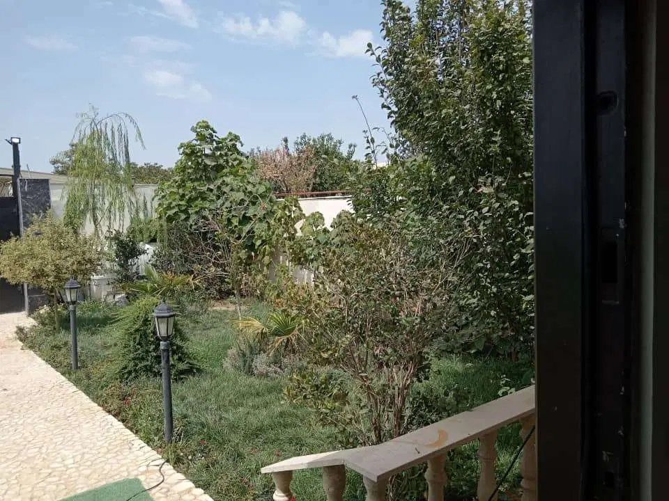 جهانبین