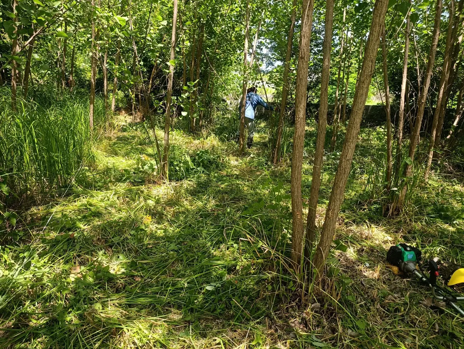 زمین مسکونی با پروانه ساخت