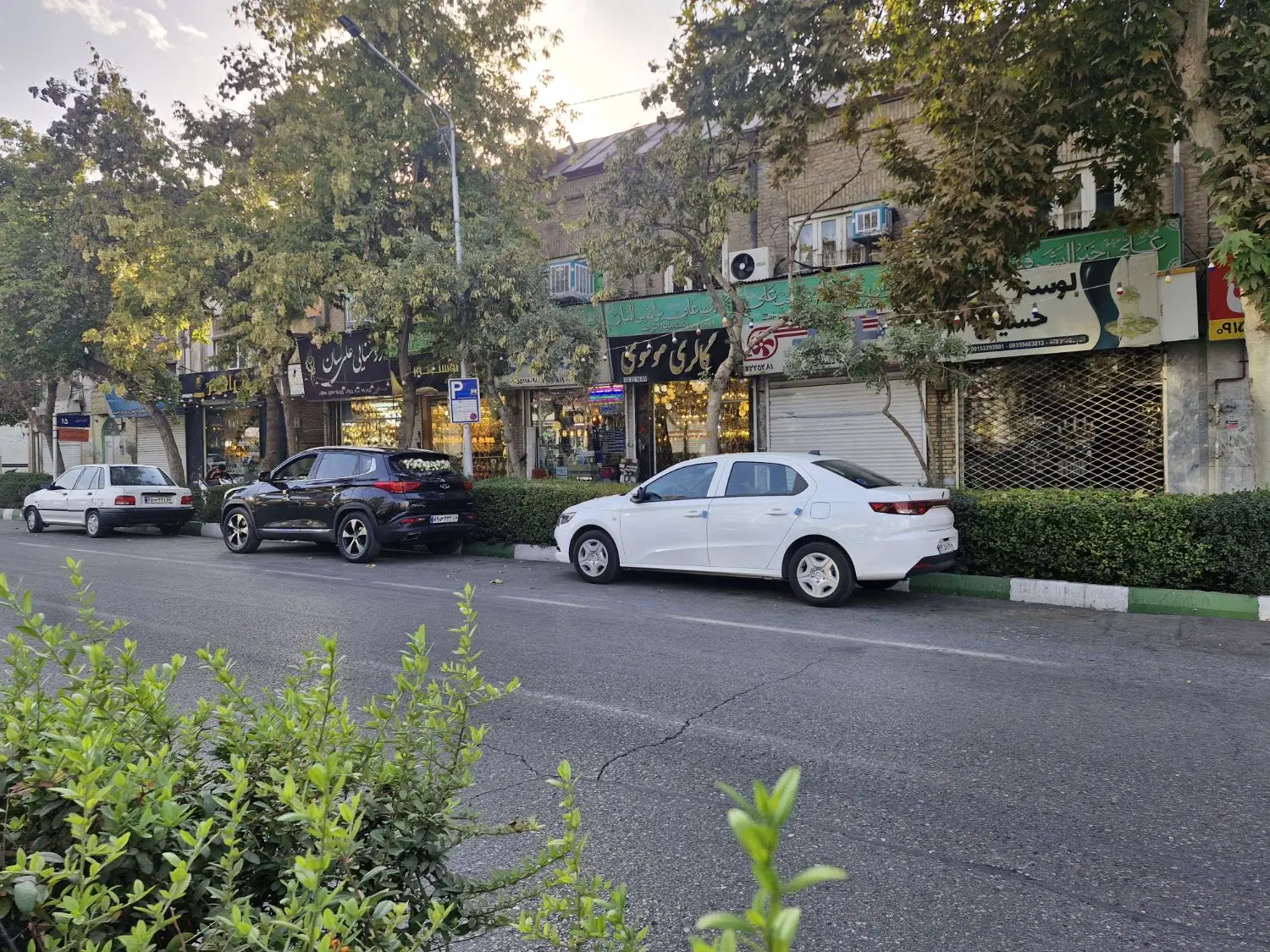 مغازه تجاری  در گنبد سبز