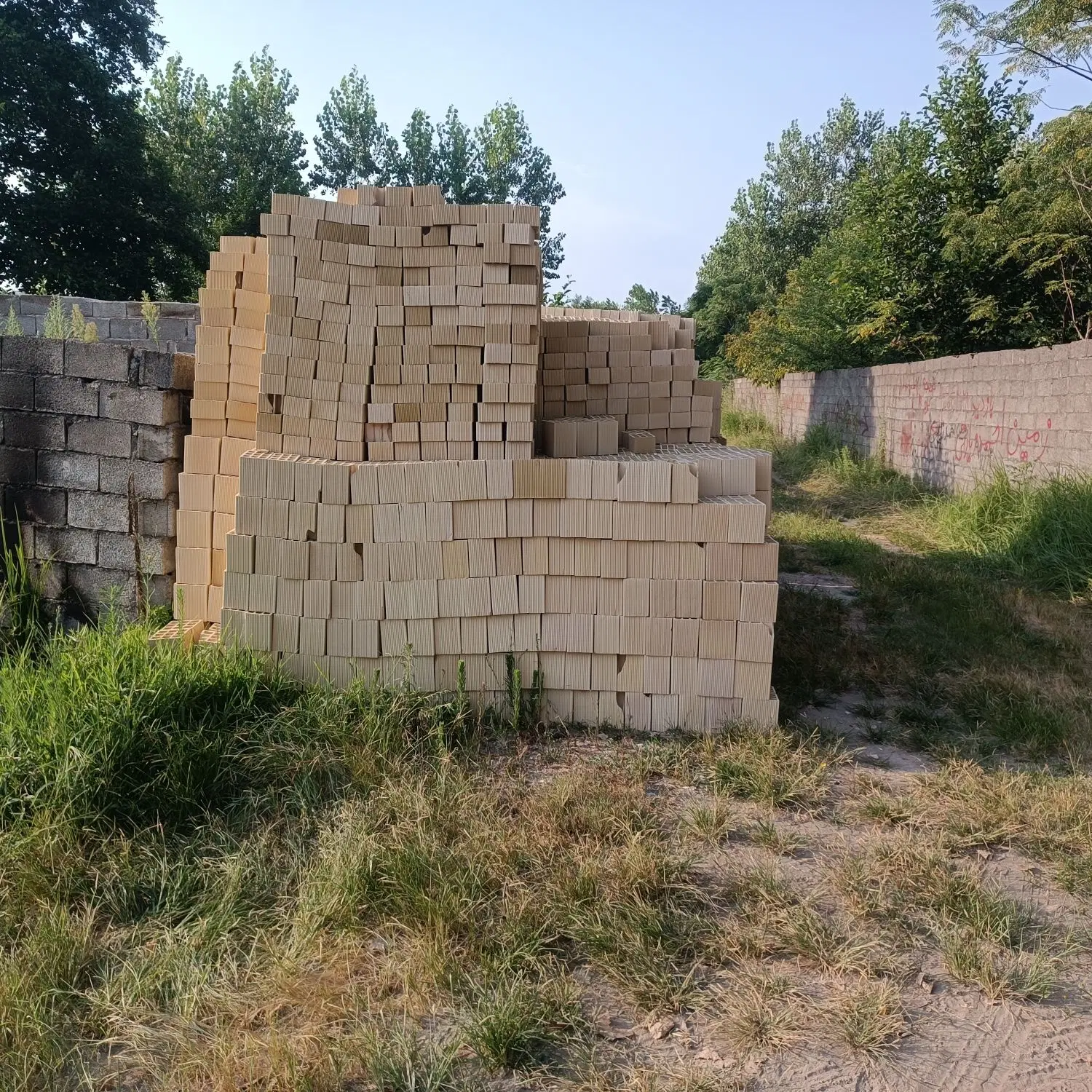 زمین