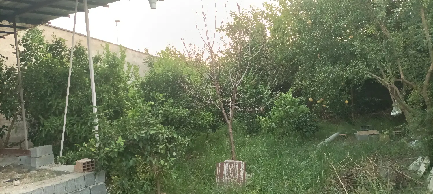 خونه باع