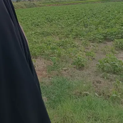 زمین تپه
