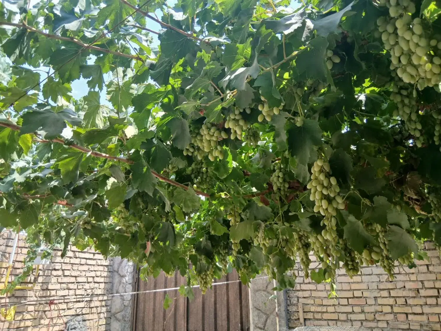 اجاره خونه ۲۰۰ متری دربست