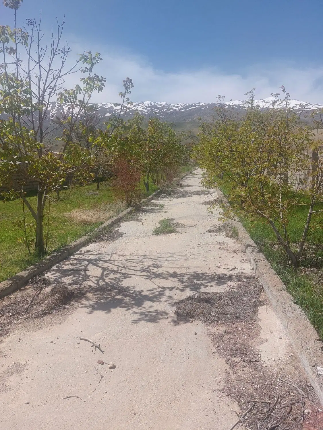 فروش زمین بهر اتو بان بروجرد